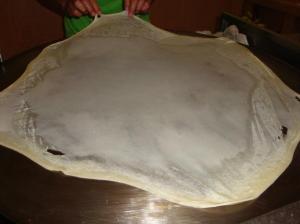 Roti Tissue2
