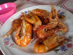 Udang Sungai