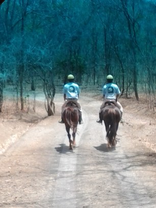 @ 2 Petugas Berkuda, penunjuk jalan menuju Menjangan Resort...