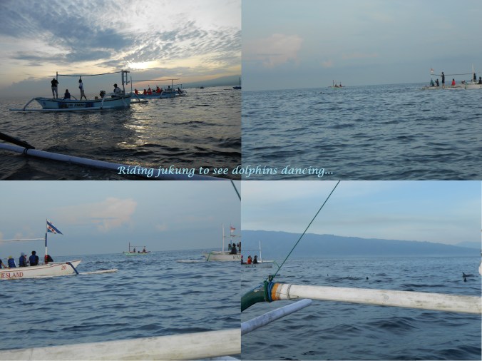 The dolphins with text