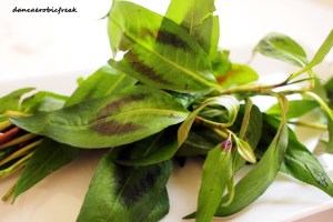 diambil dari  http://www.google.co.id/imgres?imgurl=http://2.bp.blogspot.com/_kOYiqA_uMFQ/TGO-84I1GWI/AAAAAAAAIUk/VC_5jWrGSQQ/s1600/daun%2Bkesum%2B1.jpg&imgrefurl=http://dancaerobicfreak.blogspot.com/2010_08_01_archive.html&h=864&w=1296&sz=130&tbnid=RWNlbxIZkmuhfM:&tbnh=90&tbnw=135&zoom=1&usg=__DjCwTdQ912XRlJuuqPhgobRAOwQ=&docid=n9Zcl7Ix6KiY2M&sa=X&ei=WhmbUtWNC4fzrQf5-IH4Dg&ved=0CDMQ9QEwAw