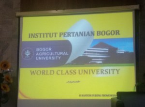 IPB