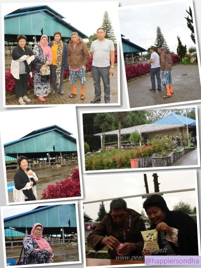 Peternakan Gundaling a